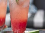 Mojito patilla