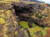 Cueva Pora. Rapa