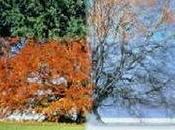 Reflexiones Primavera