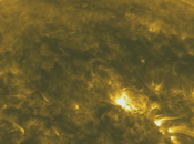 Vídeo detalle precedentes