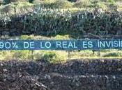 Otra miedo