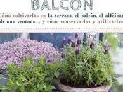 Foto-reseña Plantas medicinales balcón