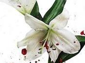 Hidden City nuevo álbum primer single Cult