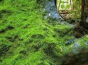 historia interminable