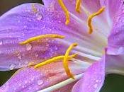 buscan patrocinadores para este blog