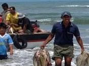 Pescadores artesanales reciben apoyo municipalidad cerro azul…