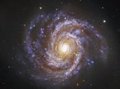 Messier Supernova 2006X