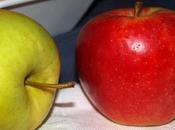 manzana, fruta muchas propiedades