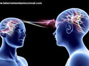 neurociencia social niveles integrativos