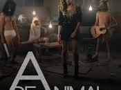 animal estrena videoclip