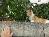 Estamos Agustito CXVI. acercateeeeeeee #funny