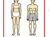 Ectomorfos, ¿cómo ganar músculo?