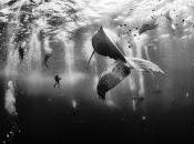 National Geographic: Traveler Photo Contest 2015