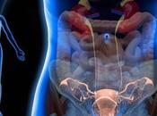 Dolor abdominal mujeres relacionadas actividad sexual