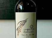 Salton Talento 2011