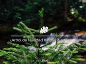 ¿Árbol Navidad natural artificial?