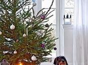 Preparando Navidad Preparing Christmas