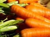 Métodos caseros para zanahoria