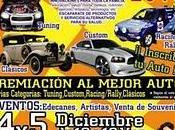 Auto Fest 2010