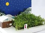 Regala jardín Navidad