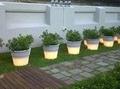 Iluminación macetas