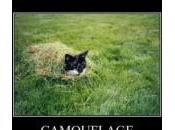 arte camuflaje “gatuno” [Video]