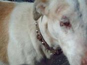 Sam, bueno compañeros pueden matar