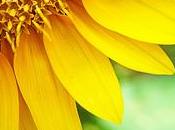 Creación retina dimensiones