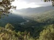 Parque Natural Alcornocales cuenta Punto Información Micológica