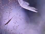 roce....