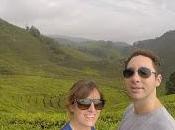 Cameron highlands