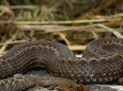 lenguaje colores: código universal alarma