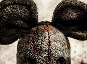 Torment, peluches maldad