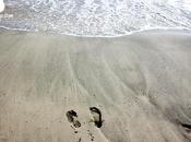 busca nuestra playa
