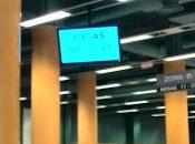 sucedido