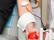 homosexuales pueden donar sangre