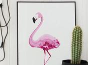 flamencos Aviloti SORTEO semana!!