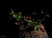 Xmas pudding feliz navidad!