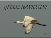 ¡¡felicidades!!