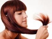 remedios caseros para combatir Horquetillas.