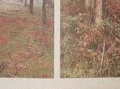 Monte limpio, monte sucio