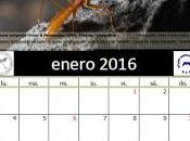 Calendario AeE-GEV. Enero 2016