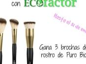 Sorteo Envuelta Crema Ecofactor