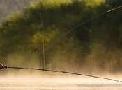 ¿Porqué #Management parecido #PescaDeportiva?