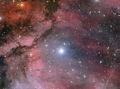 Wolf–Rayet Carina