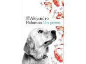 perro, Alejandro Palomas SORTEO