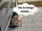 Estamos Agustito CXVII. ¿Miedo?... ¿que eso? #funny