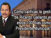 Encuesta: ¿Cómo calificas días gestión Gallardo?