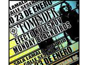 Fominder, Efecto kuleshov Monday Blackbirds Mala