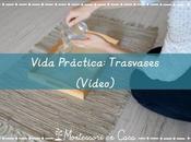 Vida Práctica:Trasvases (VÍDEO) Practical Life: Pouring (VIDEO)